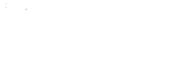 Medium_chrysanthemum