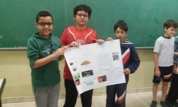 Medium_74b90c6a-e48d-4678-9b49-79a7848dc0e4