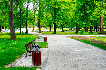 Medium_praca