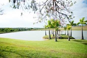 Medium_parque