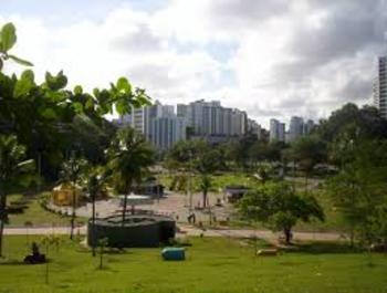 Medium_imagesanlwodwj