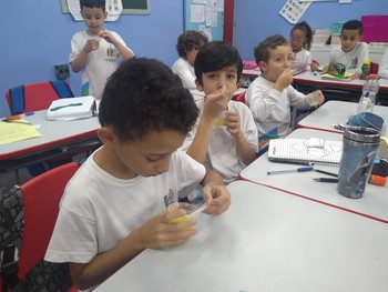Medium_img_20190523_160010702__1_