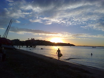 Medium_20140116-0002