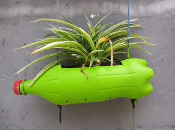 Medium_vaso-de-garrafa-pet-verde-scaled