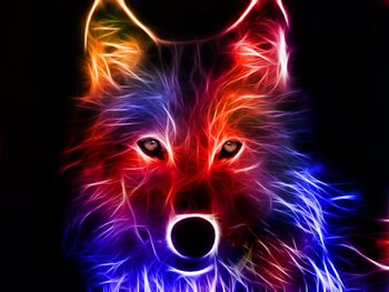 Medium_imagens-lobos