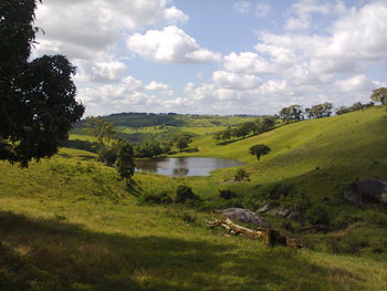 Medium_foto0442