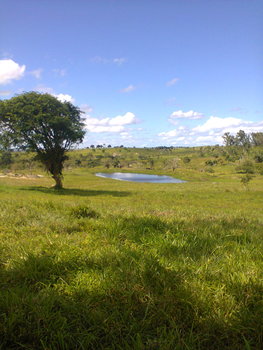 Medium_foto0397