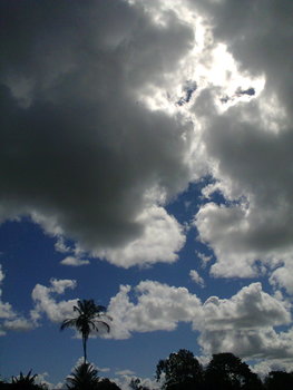Medium_foto0367