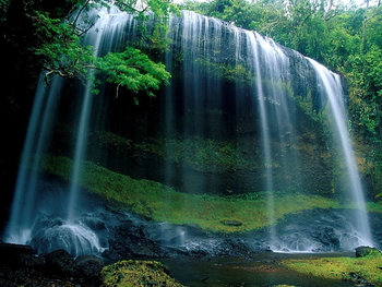 Medium_imagen_1_2