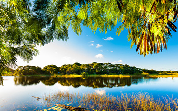 Medium_imagem_da_natureza