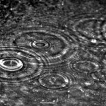 Top_agua_de_chuva_2_reproducao-300x225
