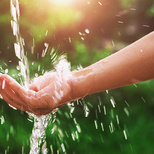 Top_thinkstockphotos-694729912