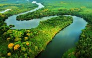 Faca_acontecer_amazonas
