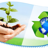 Top_a_natureza_agradece