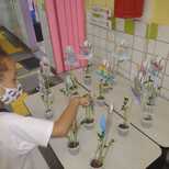 Top_plantar_feijao