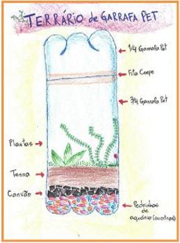 Medium_imagem_post_plano_aula_terrario