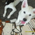 Thumb_sq_sam_5522
