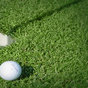 Thumb_88_golf