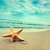 Thumb_sq_image