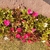 Thumb_sq_img_20221002_153208